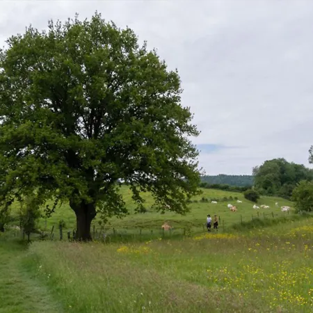 아파트 Recreatieboerderij Tergracht - Der Kostel *