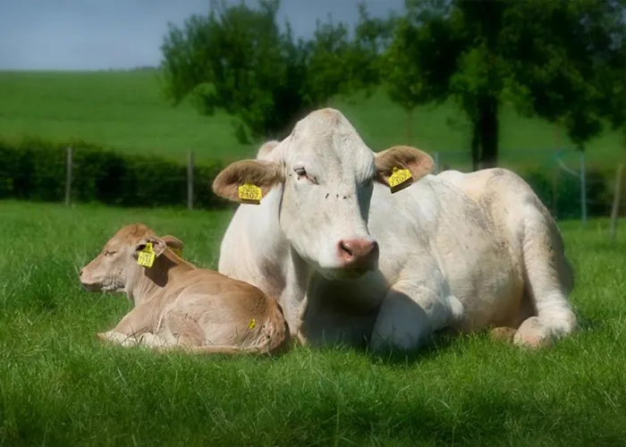 Appartement Recreatieboerderij Tergracht - Der Kostel *