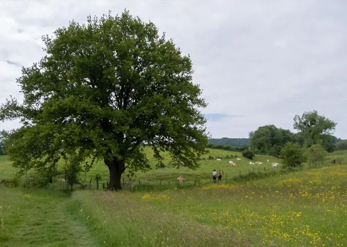 Appartement Recreatieboerderij Tergracht - Der Kostel *